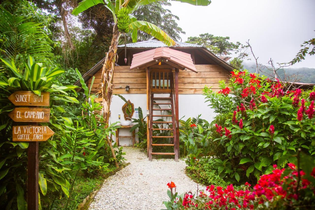 Masaya Casas Viejas Ostello Minca Esterno foto